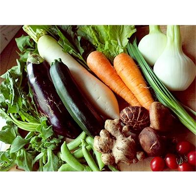 ふるさと納税 南国市 【土佐野菜】旬の野菜の詰め合わせと栽培期間中に農薬不使用の生姜500g付き