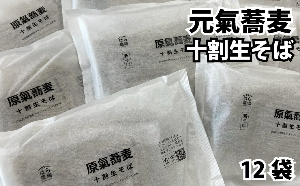 【ふるさと納税】原氣蕎麦十割生そば12袋【O-4301】