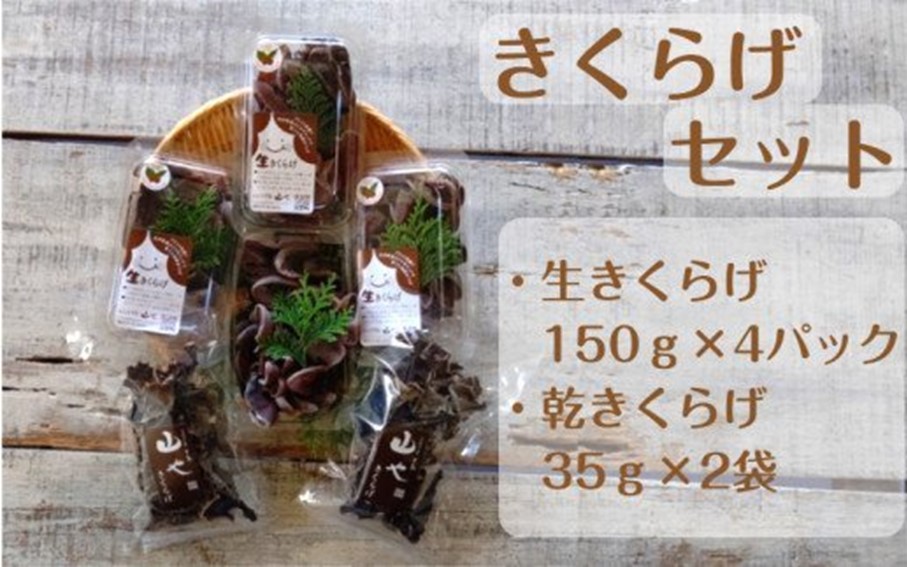 【希少/申込9月15日まで】きくらげセット（生きくらげ150g×4パック・乾きくらげ35g×2袋）_1799R