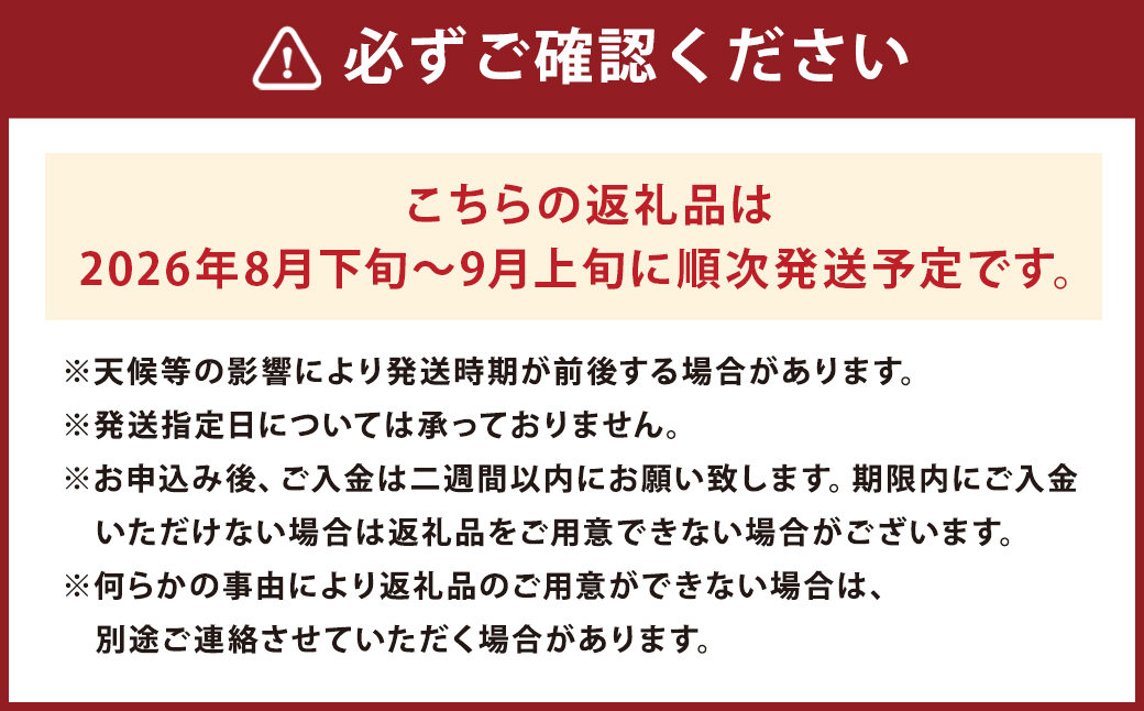 種なし巨峰 約1.8kg 種なし ぶどう 果物 くだもの フルーツ 長崎県産 【2026年8月下旬～9月上旬迄発送予定】