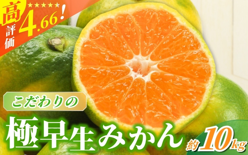 
            【2025年秋頃発送予約分】【農家直送】こだわりの極早生みかん 約10kg 【数量限定】 有機質肥料100% サイズ混合 ※2025年9月下旬より順次発送予定（お届け日指定不可） / 早生みかん みかん ミカン 有田みかん 温州みかん 柑橘 有田 和歌山 産地直送  くだもの 果物 フルーツ 柑橘類 和歌山 すさみ町【nuk135B】
          