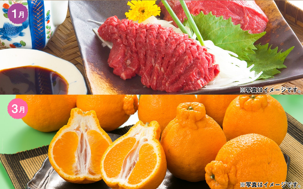 【6か月隔月定期便】熊本便り！熊本の名品堪能定期便