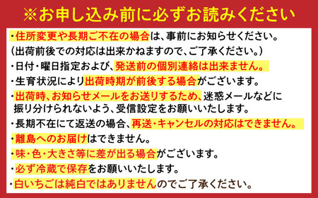 【全6回定期便】佐賀県の生産者を応援！いちご・みかんジュース・佐賀牛 佐賀の宝 定期便 / ストレートジュース 白い宝石 ステーキ すき焼き 焼肉 / 佐賀県ふるさと納税[41AAZZ012]
