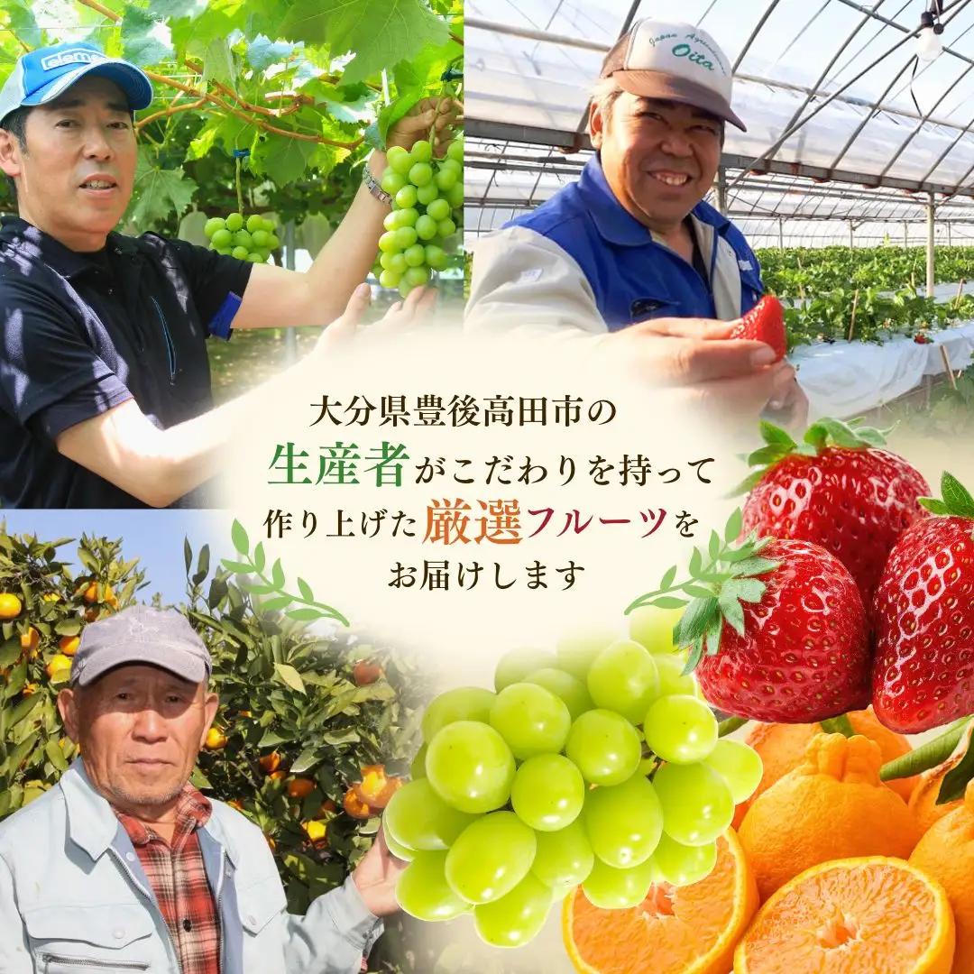 旬の特選フルーツ定期便 全3回 | フルーツ