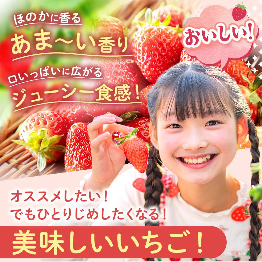  【2027年先行予約】鮮度抜群 いちご とちあいか 290g×10P【栃木県共通返礼品】 約290g×10P | 26,000円