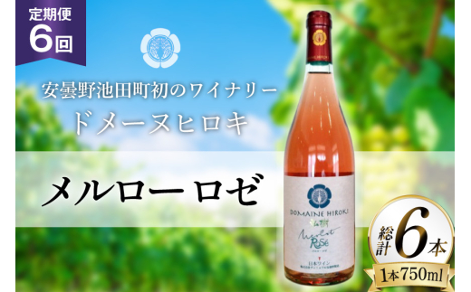 定期便 ロゼワイン メルロー ロゼ 750ml 6回 計 6本 [ヴィニョブル安曇野 長野県 池田町 48110759] ギフト ワイン