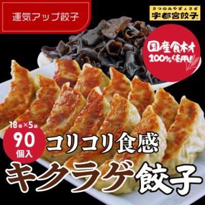 ふるさと納税 宇都宮市 宇都宮餃子 運気アップ餃子　ちょう×3いい感じ餃子　合計90個　保存料不使用