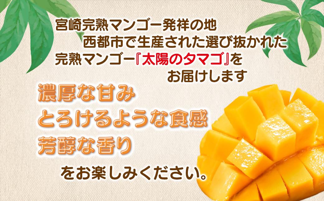 5月発送【先行予約】最高級ブランド『太陽のタマゴ』2L×2個【糖度15度以上】宮崎県西都市産完熟マンゴー<3.6-5>宮崎マンゴー 果物 フルーツ 甘い 5月発送 太陽のタマゴ2L×2個