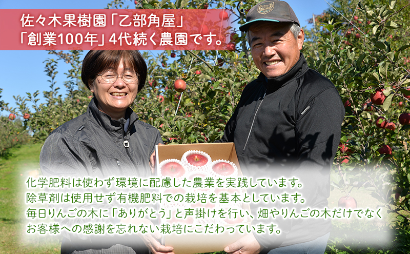 先行予約 りんご 定期便 5回 5種類のりんご 家庭用 約3kg 10玉前後 盛岡ブランド認証 果物 フルーツ 旬の果物 旬のフルーツ 季節の果物 季節のフルーツ 林檎 リンゴ 岩手りんご 岩手 岩手