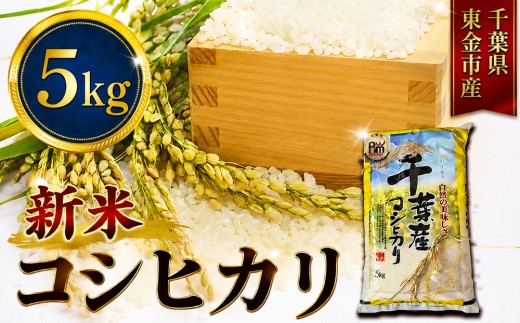 新米 こしひかり 5kg 米 お米 こめ コメ コシヒカリ 8年度産 千葉県産 kome okome 精米 白米 ご飯 ごはん 備蓄米 国産 炊飯 ※ ブランド米 甘い ツヤ ギフト 贈答 甘み 粘り 香り リピート 冷めても美味しい kosihikari 農家直送 数量限定 産地直送 前嶋商店 千葉県 東金