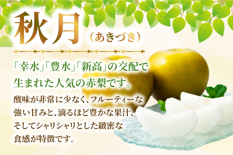 【9月中旬より発送】【数量限定】採れたて 梨 秋月 3kg（茨城県共通返礼品／かすみがうら市）果物 くだもの フルーツ なし ナシ 旬 新鮮 期間限定 産地直送 茨城県 水戸市（FW-14）