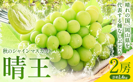 【2026年発送】秋のシャインマスカット 晴王 2房  環山堂株式会社 シャインマスカット