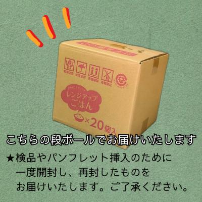 ふるさと納税 韮崎市 武川米農林48号(玄米)パックご飯20個入り |  | 03