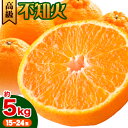 【ふるさと納税】《レビューキャンペーン》高級 不知火 ( デコポン と同品種) 約5kg 15~24玉 主井農園《2月中旬-4月上旬頃出荷》 和歌山県 日高町 みかん 柑橘 しらぬい 高級不知火 デコポン デコ でこぽん 贈答 贈り物 おくりもの プレゼント ギフト 記念日 送料無料