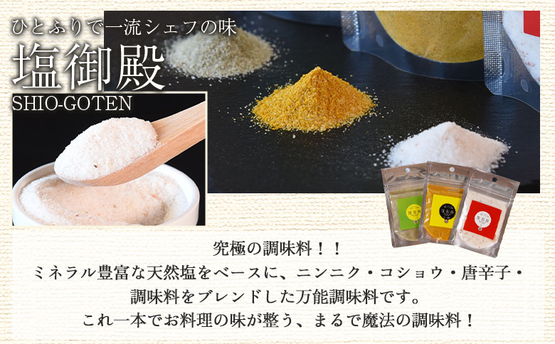 ＜塩御殿 ハーブ 1袋＞ 調味料 しお スパイス 料理 アレンジ 天然塩 万能調味料 ばんのう お試し かける 混ぜる 調理 味付け ニンニク にんにく コショウ 胡椒 唐辛子 旨味 プロ 一流 シェ