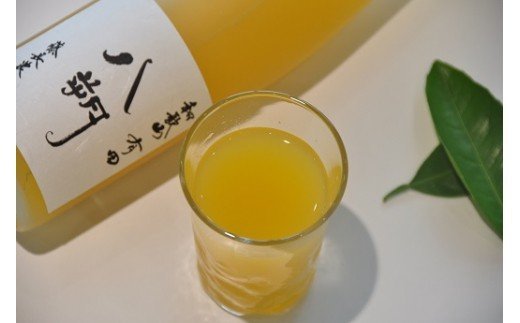 293. 有田みかん搾り「うららか」＆八朔ジュースセット（計2本）(A293-1)