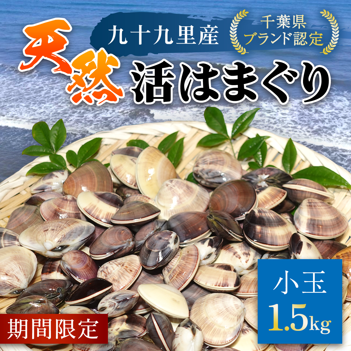 【千葉県ブランド認定】天然活はまぐり（小玉）《1.5kg》／ふるさと納税 はまぐり ハマグリ 蛤 貝類 魚介 海鮮 お吸い物 パスタ パエリア お歳暮 贈答 お祝い 千葉県 山武市 SMBO001