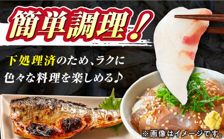 【期間限定！】対馬産 鮮魚 詰め合わせ 5種前後 4.0kg 新鮮 天然 直送 セット [WAH022]