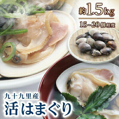 【ふるさと納税】 天然 活はまぐり 詰合せ 全6回発送 ＜ 定期便 固定月 ＞ 九十九里産 国産 はまぐり 貝類 貝 魚貝類 無添加 魚介 海の幸 海 鍋 バーベキュー BBQ お吸い物 産地直送 ご馳走 蛤 ギフト プレゼント 飯岡ヤマイチ水産-大納屋- 千葉県 旭市