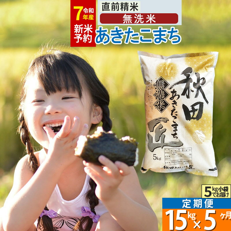 【ふるさと納税】【無洗米】※R7新米予約※《定期便5ヶ月》秋田県産 あきたこまち 15kg (5kg×3袋) ×5回 令和7年産 お米 新米