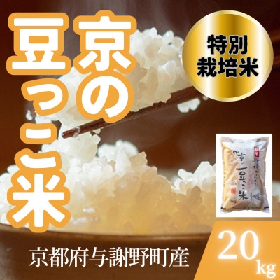 
                  ＜令和7年産米＞京都府与謝野町産 丹後コシヒカリ 精米20kg　特別栽培米 京の豆っこ米【1713764】
                