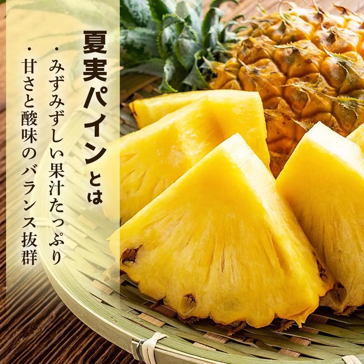 夏実パイン 大玉2～3個 計2.6kg