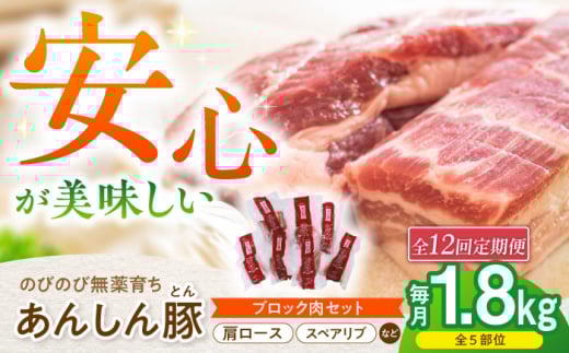 【12回定期便】あんしん豚 ブロックセット 約1.8kg 豚肉 ロース モモ カタ 国産 白川町 / 藤井ファーム [AWAF027]