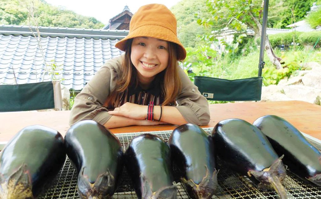 【2026年8月上旬-9月下旬発送予定】美咲町産 なす カッシーファームのみさきなす 2個 合計約1.9kg