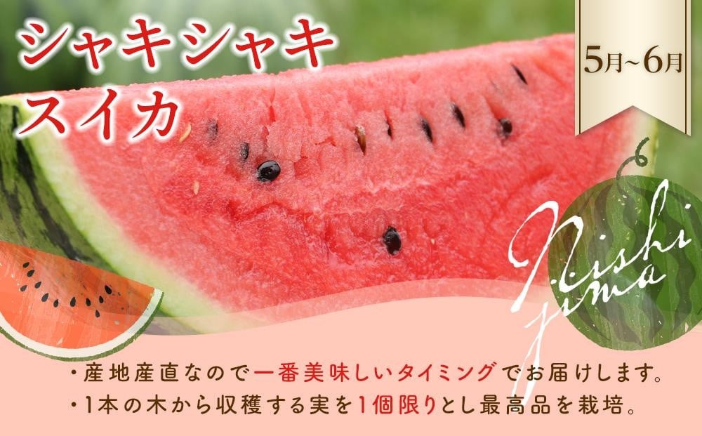 【年5回 旬のフルーツ定期便】季節のフルーツセット｜いちご スイカ マンゴー メロン フルーツ トマト 定期便 ふるーつ定期便 果物定期便 旬 夏フルーツ 秋フルーツ 冬フルーツ くだもの 贈答 ギフ
