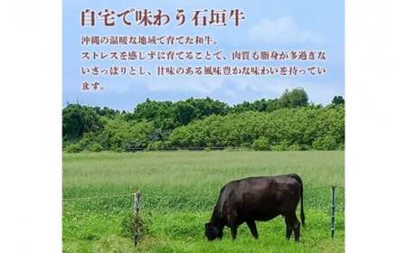 AG017　石垣牛 サーロインステーキ 400g（約200g×2）