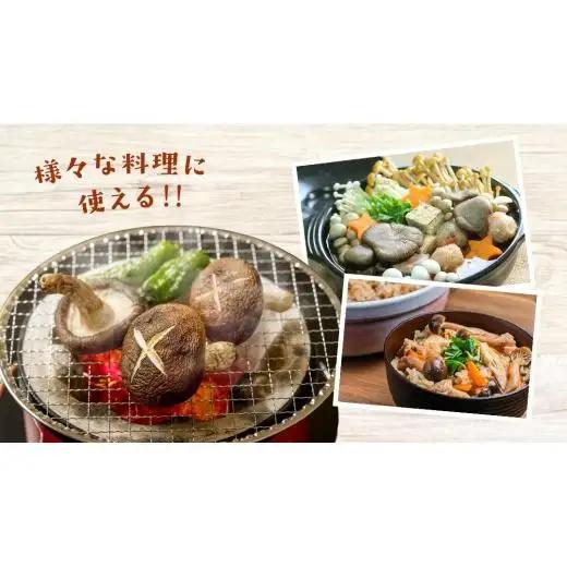 【 3ヶ月連続定期便 】きのこ の 詰め合わせ Lサイズ ( 約2kg ) （茨城県共通返礼品：城里町）