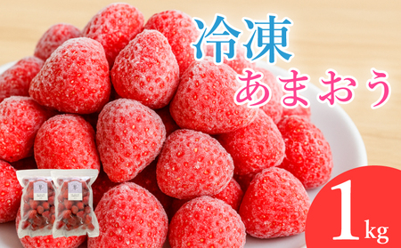 冷凍あまおう フローズンあまおう 苺 あまおう 1kg (500g×2p)｜あまおう 福岡県産 福岡 川崎 OKI 