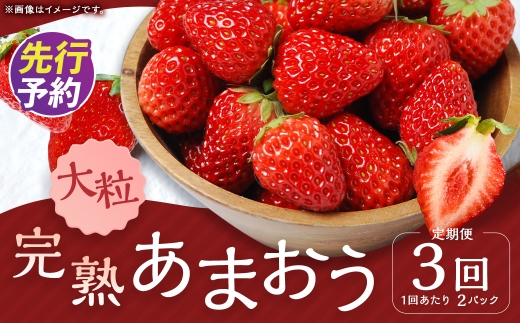［ 定期月指定3回 ］ 3回定期便 完熟あまおう （ 大粒サイズ ） 275g × 2パック いちご 果物 フルーツ 果実 果汁 果肉 甘み 国産 福岡県産 ビタミンC 冷蔵 定期発送 【 2027年1月上旬-3月下旬頃発送予定 】
