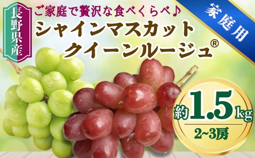 【2026年先行予約】家庭用 シャインマスカット＆クイーンルージュ® 約1.5kg(2~3房)｜ 果物 フルーツ 白ぶどう 赤ぶどう 葡萄 ブドウ 種無し 種なし 皮ごと 千曲市 長野県 信州