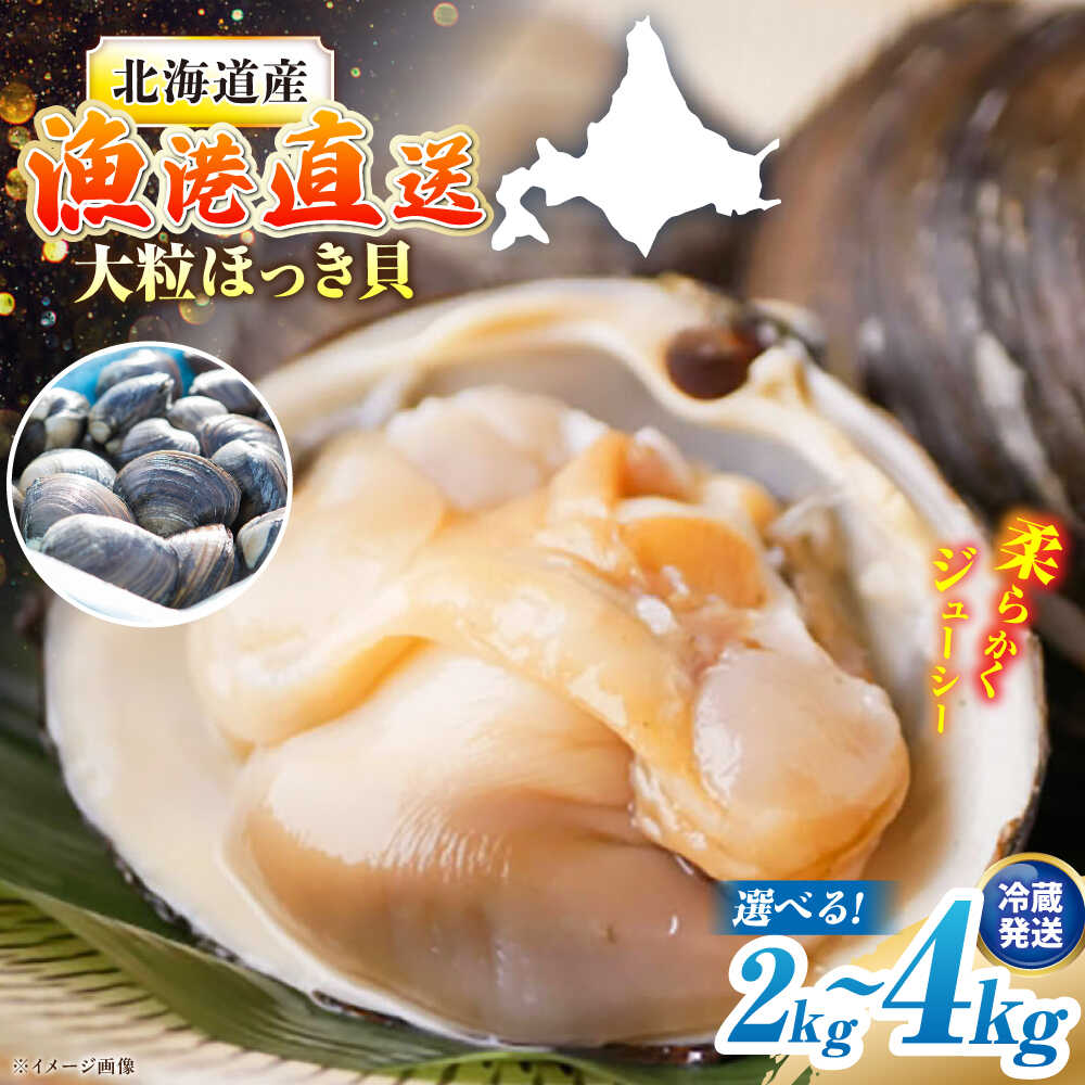【ふるさと納税】7月中旬以降順次発送！厚真町近海で獲れた 活ほっき貝 2～4kg《厚真町》【鵡川漁業協同組合】 ほっき ほっき貝 ホッキ ホッキ貝 北寄貝 海鮮 冷蔵配送 北海道 [AXAL003/AXAL005/AXAL006]