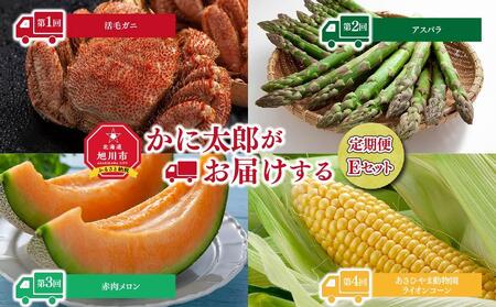 【26年4月発送開始】かに太郎 定期便Eセット（毛ガニ、アスパラ、赤肉メロン、ライオンコーン）全4回 | 毛ガニ _01600