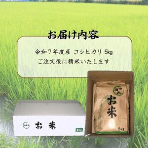 新米 藤の香 コシヒカリ 5kg お米 令和7年度産 静岡県産 静岡のお米 精米 白米 無農薬 有機肥料 おこめ ご飯 ごはん 米 国産 産地直送 静岡県 藤枝市