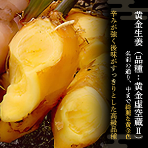 ゆうきのもり生産者こだわりの有機黄金生姜 （1kg） しょうが ショウガ 生姜 黄金しょうが 高知 国産 生姜焼き しょうが湯 レシピ付 魚料理 肉料理 ／Ftf-A01