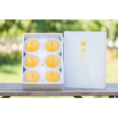 
                  やまなし内藤農園のジュエリーピーチ(R)黄桃 2.1kg【1225481】
                