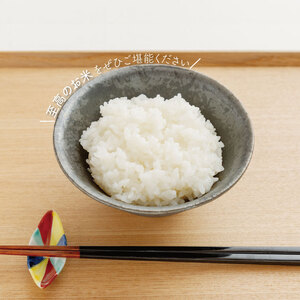 【2025年9月中旬より順次発送】★新米★R7年産 コシヒカリ 20kg(5kg×4袋)｜米 お米 白米 精米 新米 R7年産 令和7年産 こしひかり コシヒカリ 茨城県 茨城県産 行方市(HA-15