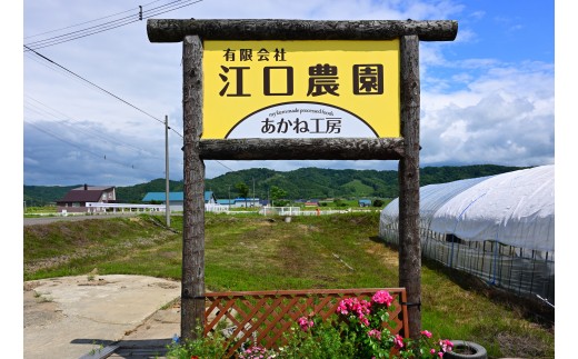 【定期便12回】江口農園　驚くほど甘い！トマトジュース　720ml×6本　北海道産　食塩無添加　アイコ・シンディースイート使用