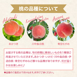 【2026年産 先行予約】 白桃 (品種おまかせ) 2kg 秀品 化粧箱入り 東根農産センター提供 山形県 東根市 hi027-257 （東北 果物 フルーツ くだもの もも 桃 白桃 ピーチ 品種お