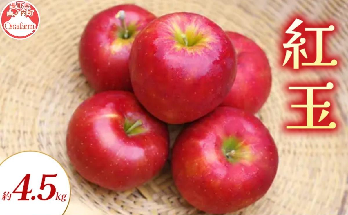 紅玉 約4.5kg りんご リンゴ 林檎 果物 フルーツ 長野県 長野 山ノ内町