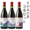 【ふるさと納税】さがみの夢ワイン　飲みくらべ3本セット（「プレミアム」、「レギュラー」、「フルーティーブレンド」各1本）