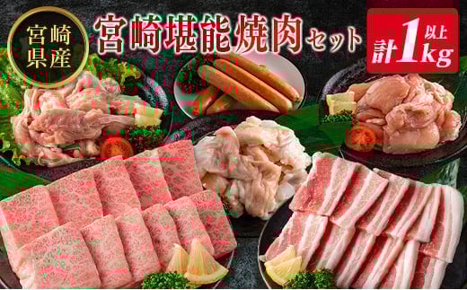 
◇宮崎県産のお肉を堪能!! 老舗焼肉店の焼肉セット（タレ・塩胡椒付き ）計1kg以上
