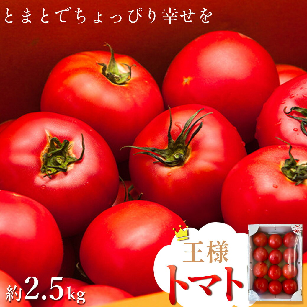 【ふるさと納税】王様トマト　約2.5kg　【11218-0713】