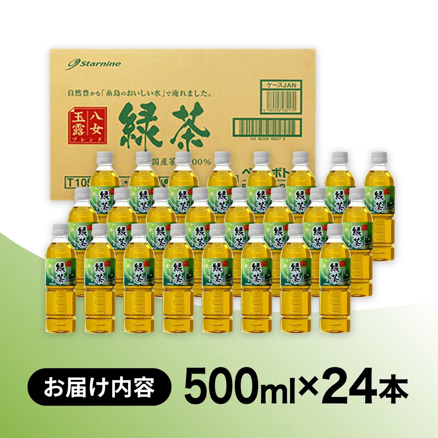 緑茶 ペットボトル 500ml 24本 八女玉露入り緑茶 お茶 [ARM004]