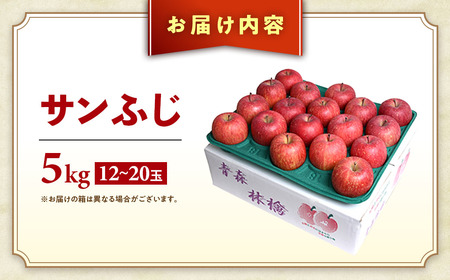 青森県産りんご サンふじ 約5kg 2027年1月下旬～ りんご
