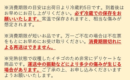 箱入り姫《11粒もしくは15粒》｜いちご イチゴ ストロベリー 高級 果物 フルーツ スイーツ [0686]