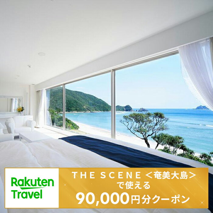 【ふるさと納税】＜THE　SCENE　＜奄美大島＞＞で使える楽天トラベルクーポン 寄付額300,000円